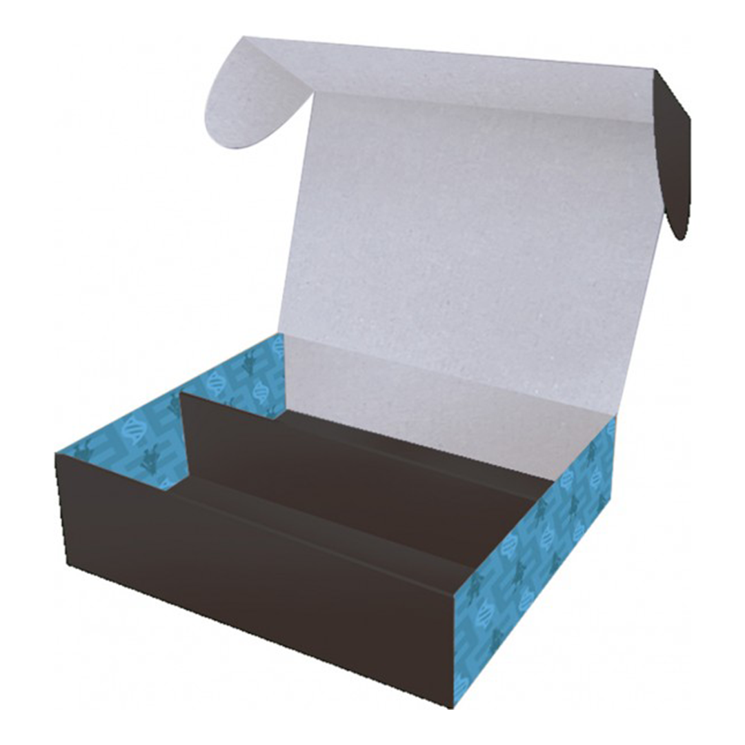 Mega Brave Pokémon Center Set (JP)