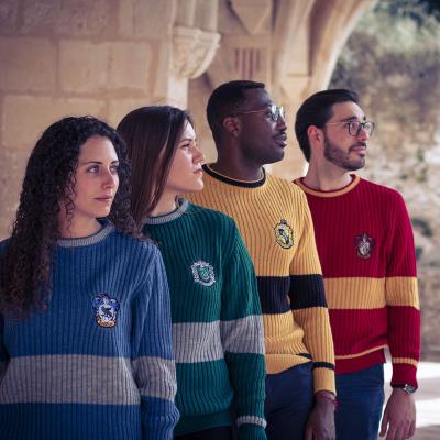 Maglione delle Case SERIE HARRY POTTER